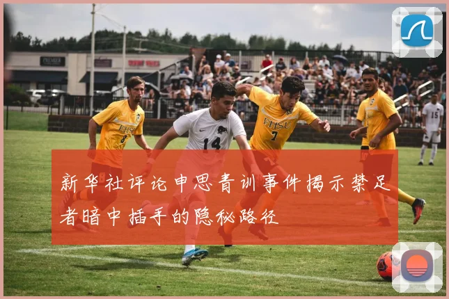 新华社评论申思青训事件揭示禁足者暗中插手的隐秘路径