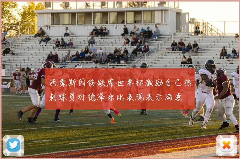 西蒙斯因伤缺席世界杯激励自己热刺球员对德泽尔比表现表示满意